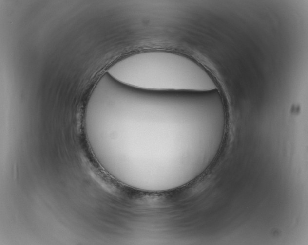 X0000115730065200911121135