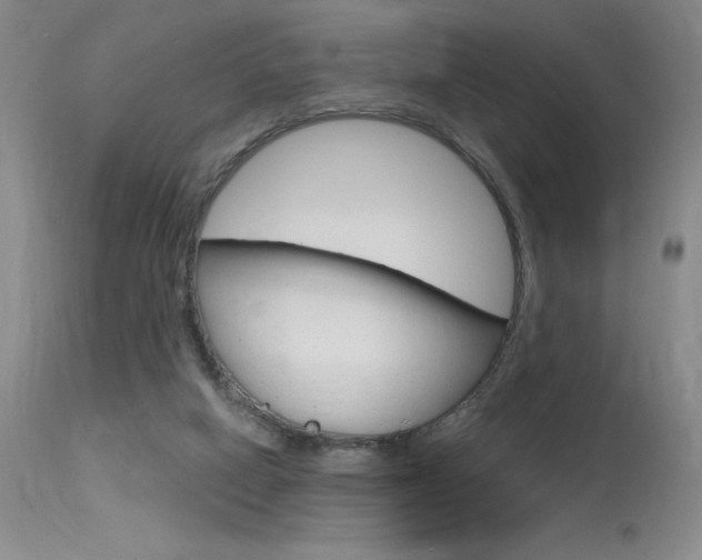 X0000115730066200911121135
