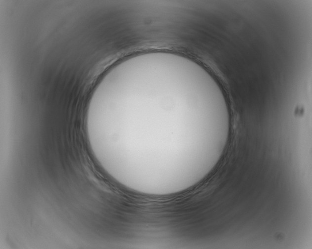 X0000115730068200911121135