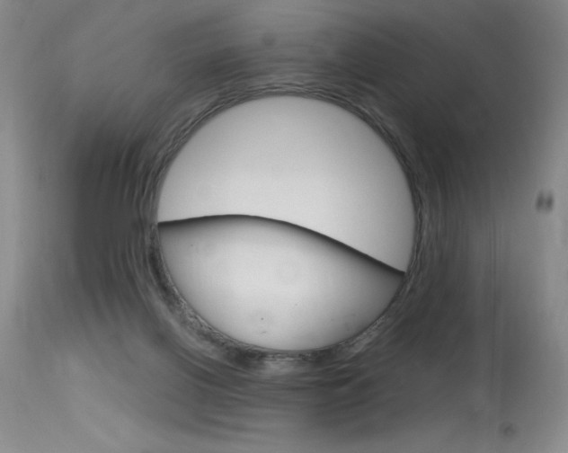X0000115730070200911121135