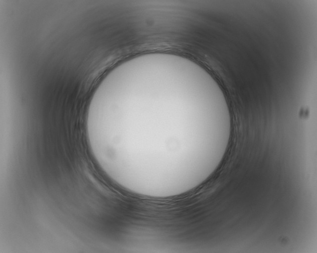 X0000115730072200911121135