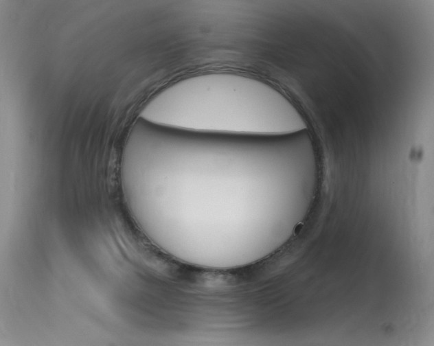 X0000115730073200911121135
