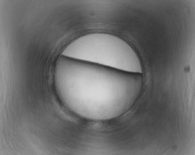 X0000115730074200911121135