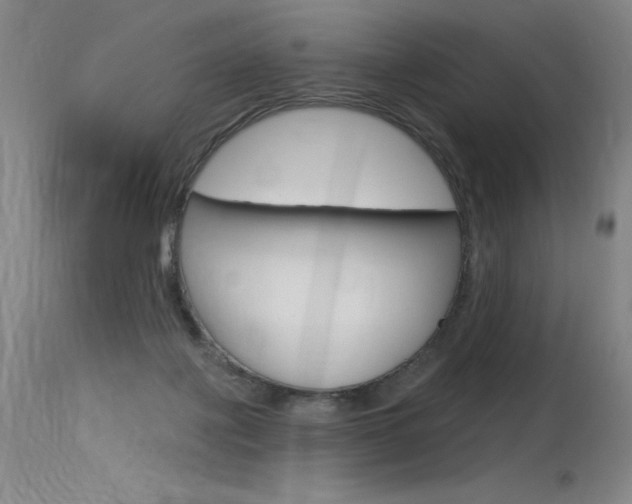 X0000115730075200911121135