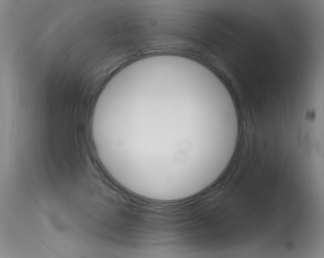 X0000115730076200911121135