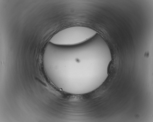 X0000115730077200911121135