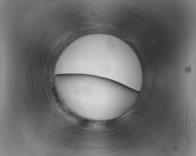 X0000115730078200911121135