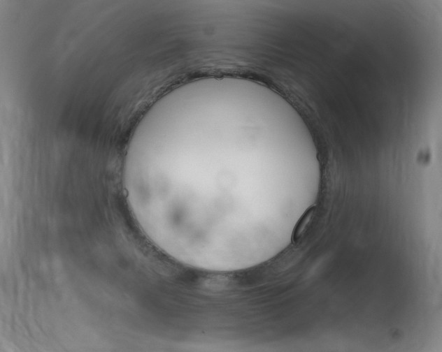 X0000115730079200911121135