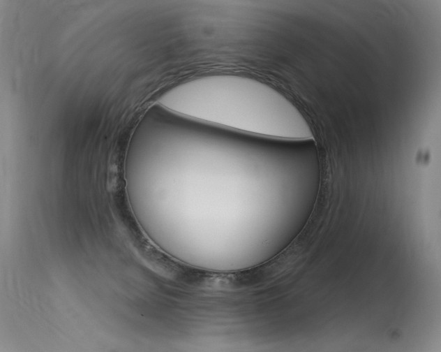 X0000115730080200911121135