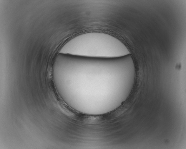 X0000115730081200911121135