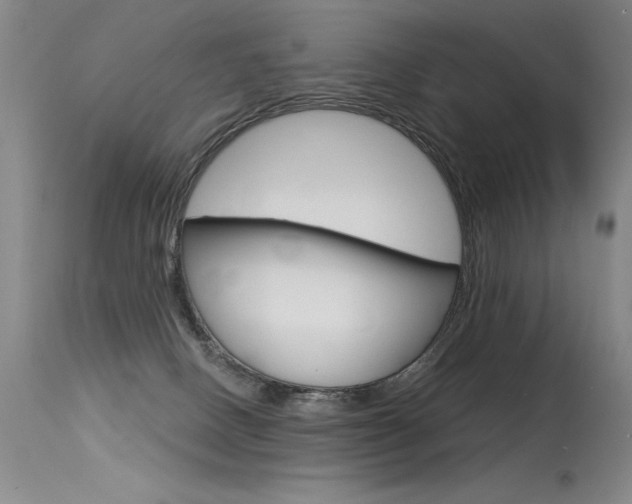 X0000115730082200911121135