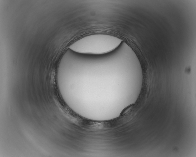 X0000115730083200911121135