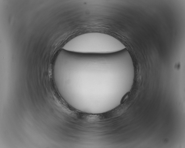 X0000115730085200911121135
