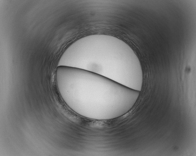 X0000115730086200911121135