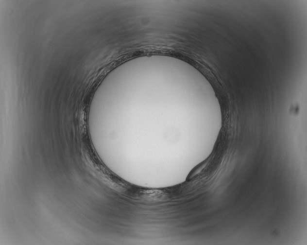 X0000115730087200911121135