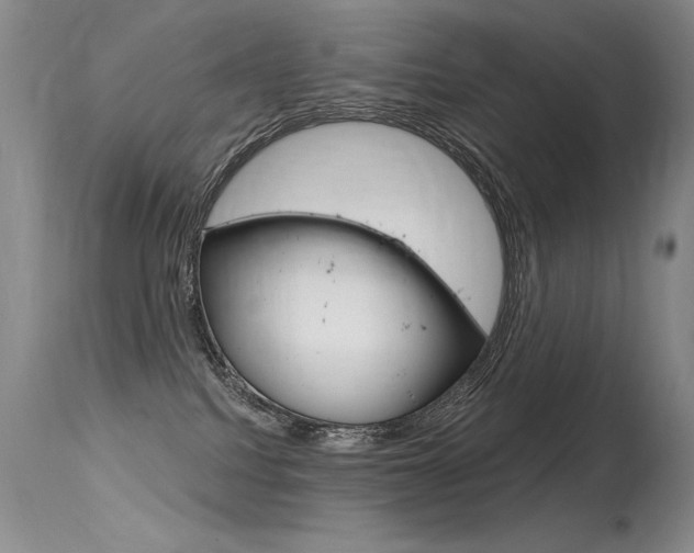 X0000115730088200911121135