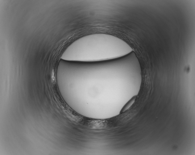 X0000115730089200911121135