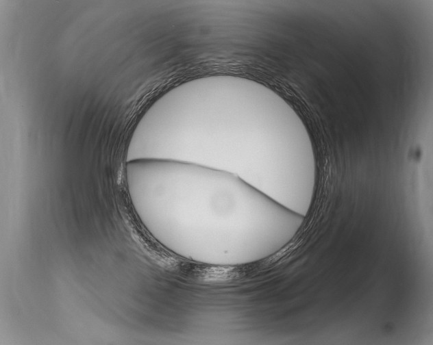 X0000115730090200911121135