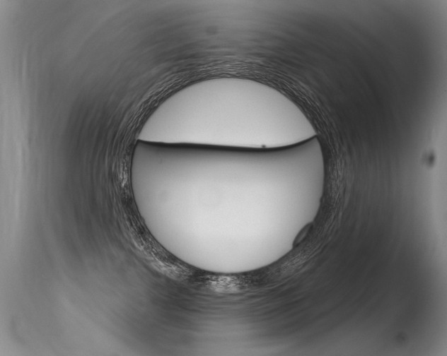X0000115730091200911121135
