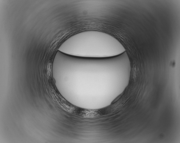 X0000115730093200911121135