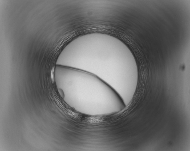 X0000115730094200911121135