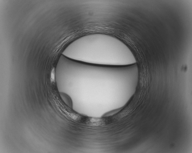 X0000115730095200911121135