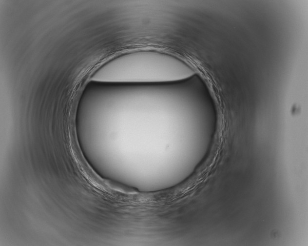 X0000115730097200911121134