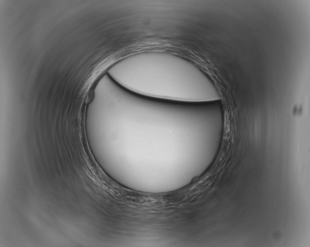 X0000115730099200911121134