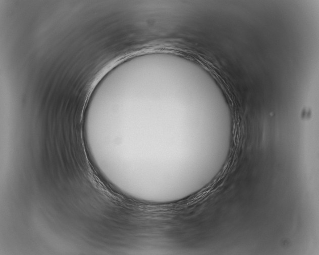 X0000115730100200911121134