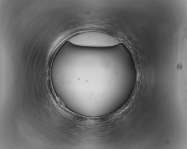 X0000115730101200911121134