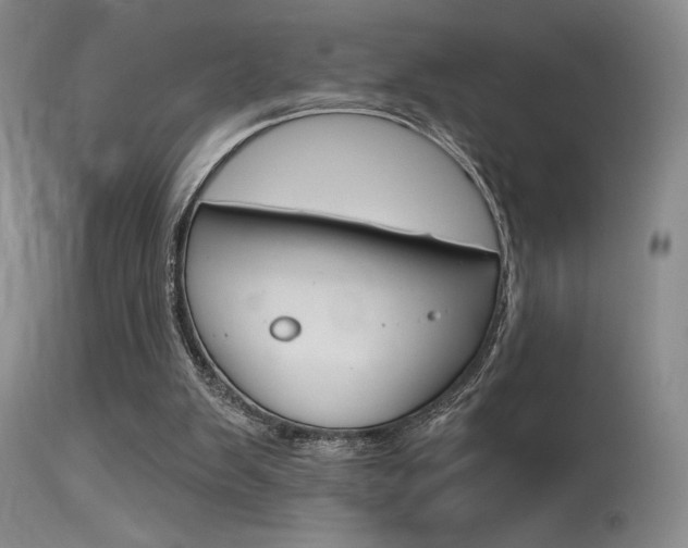 X0000115730103200911121134