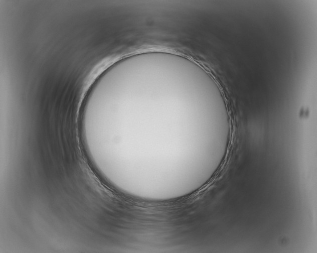 X0000115730104200911121134