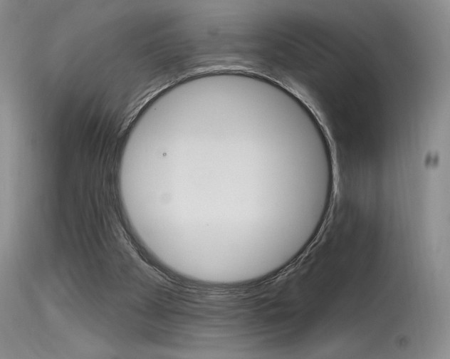 X0000115730105200911121134