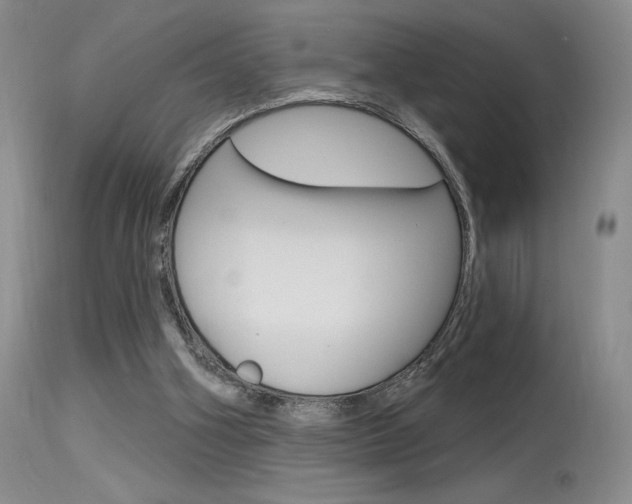 X0000115730106200911121134