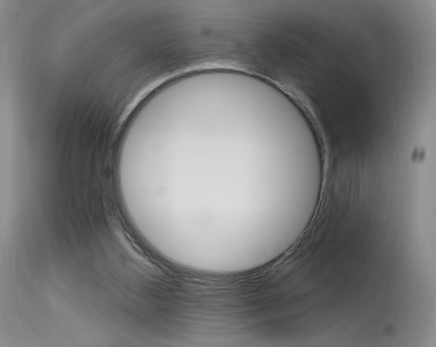 X0000115730108200911121134