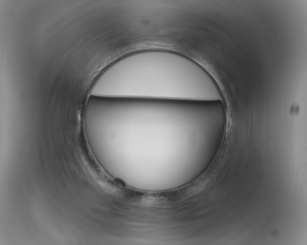 X0000115730109200911121134