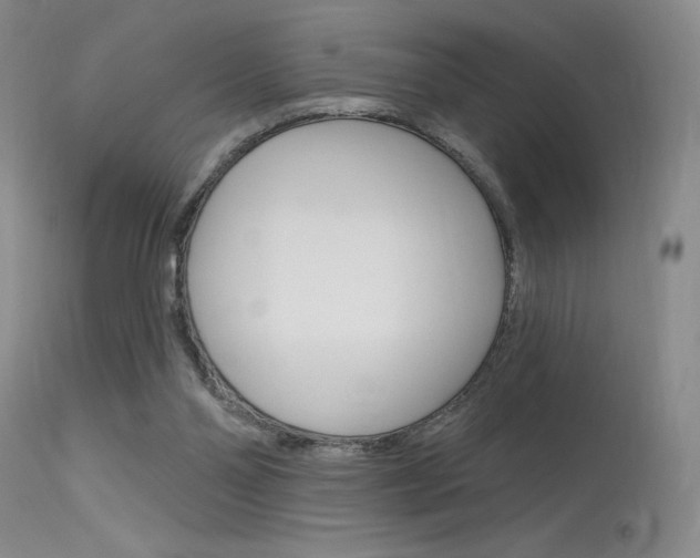 X0000115730110200911121134