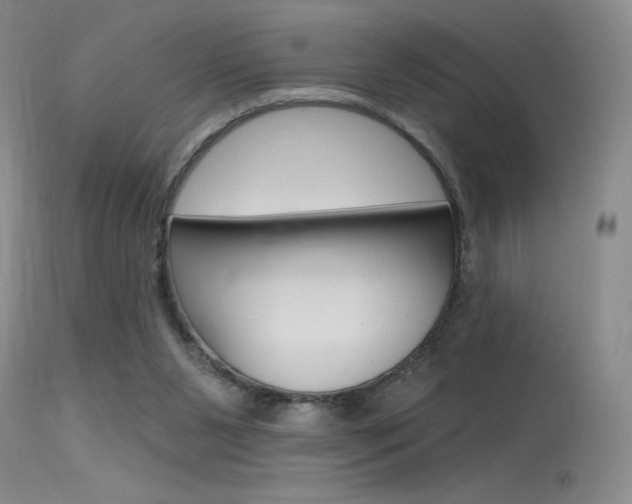 X0000115730111200911121134