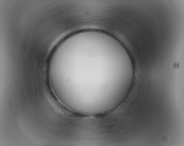 X0000115730112200911121134