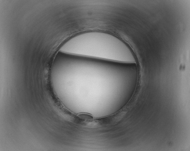 X0000115730113200911121134