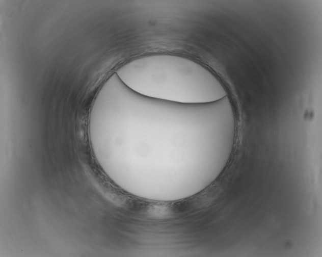 X0000115730114200911121134
