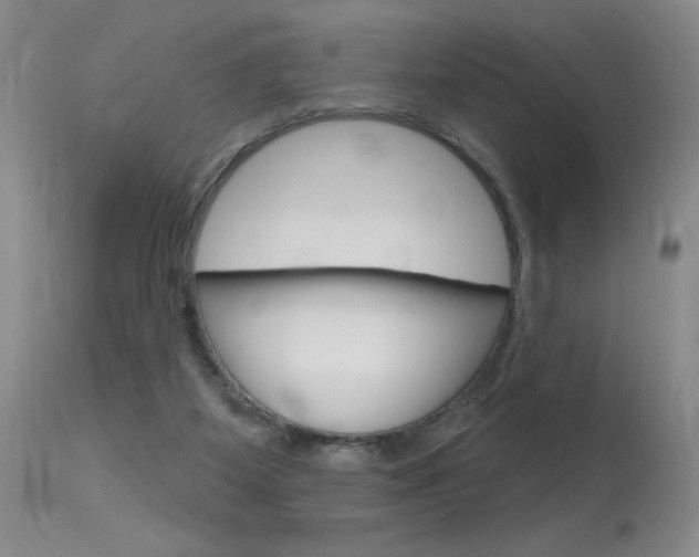 X0000115730115200911121134