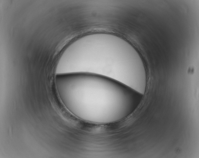 X0000115730116200911121134