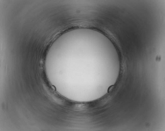 X0000115730117200911121134
