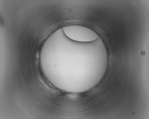 X0000115730118200911121134