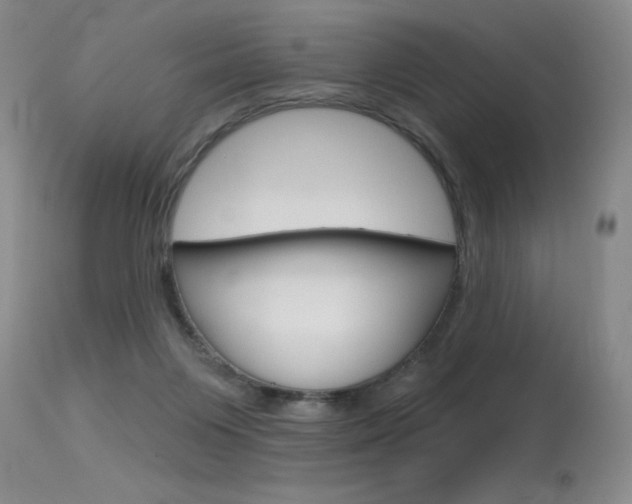 X0000115730119200911121134