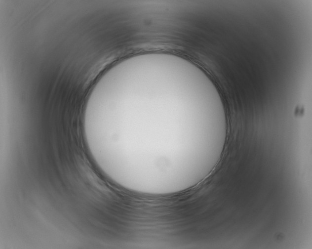 X0000115730120200911121134