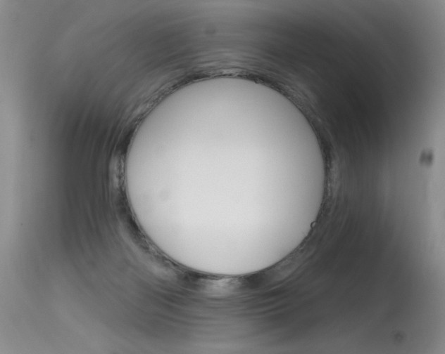 X0000115730122200911121134
