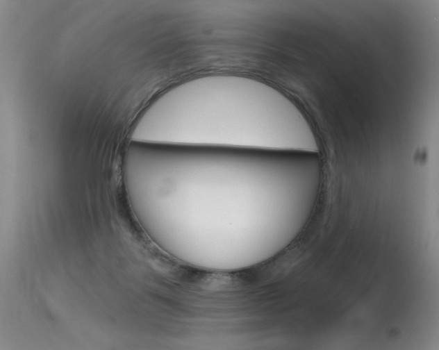 X0000115730123200911121134