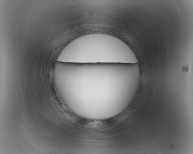 X0000115730125200911121134